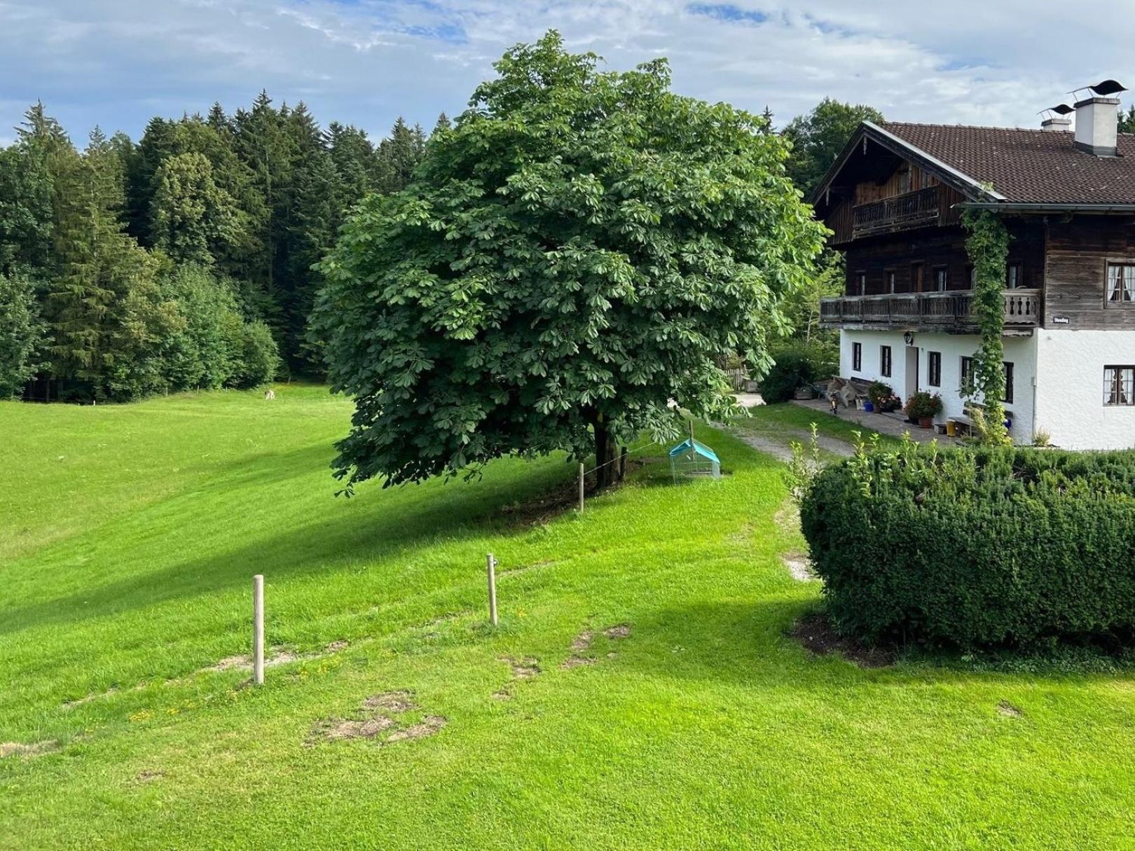 Fewo Staudinger Irschenberg Exterior photo